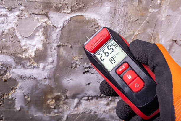 Professional Mold Remediation in Wellsville, MO