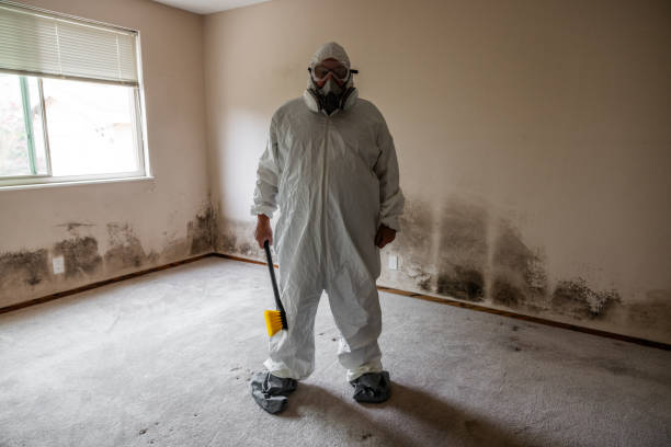 Best Mold Remediation for Specific Building Types in Wellsville, MO
